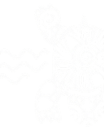 Website & Software Development