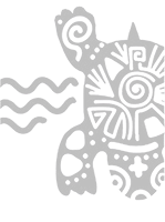 Website & Software Development